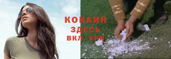 mix Ельня