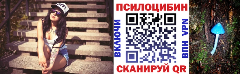 Купить где  Саки  Галлюциногенные грибы мухоморы 